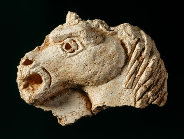 Plaster fragment of a horse's head from one of the ceilings, Berry Pomeroy Castle, Devon