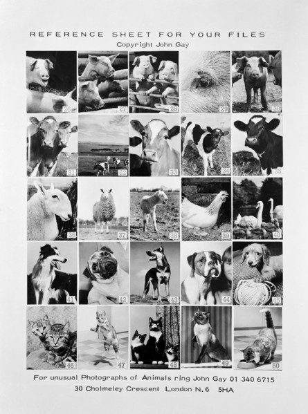 Animal montage, 1970