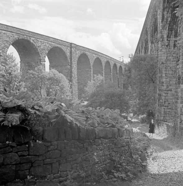 Railway viaducts, Chapel Milton, Chapel-en-le-Frith, Derbyshire, 1954