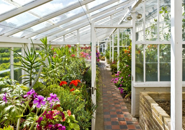 Interior of the greenhouse in the gardens of Walmer Castle, Kent, c1980-c2017