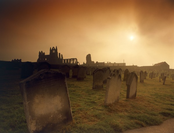 Whitby Abbey, North Yorkshire, 2010