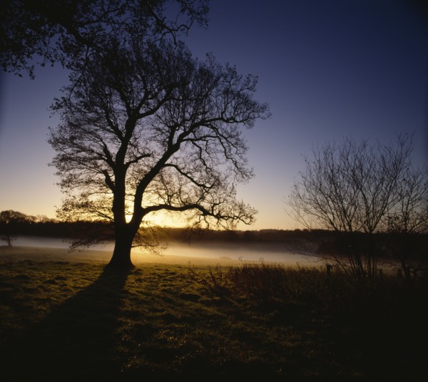 Battlefield of the Battle of Hastings, Battle Abbey, East Sussex, 2010