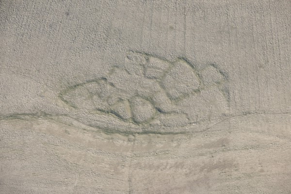 Romano-British enclosed settlement earthwork, Intake, Crosby Garrett Fell, Cumbria, 2014