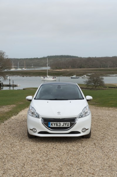 2014 Peugeot 208 Hdi Artist: Unknown.