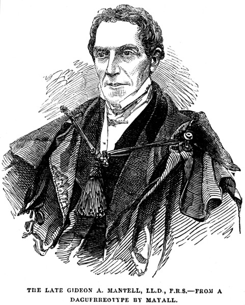 Gideon Algernon Mantell, English geologist, 1852. Artist: Anon