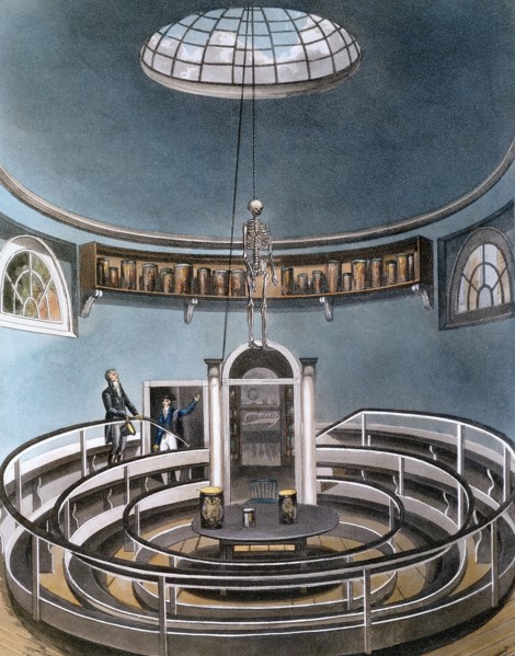 'Theatre of Anatomy', Cambridge, 1815. Artist: Unknown
