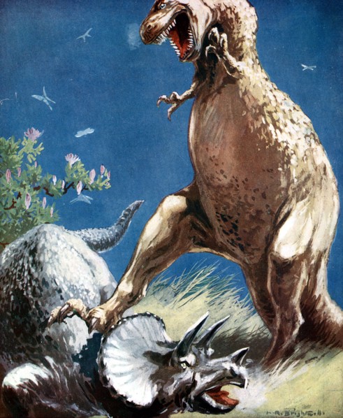 Triceratops, a horned dinosaur, held down by a Tyrannosaur, c1920. Artist: Unknown