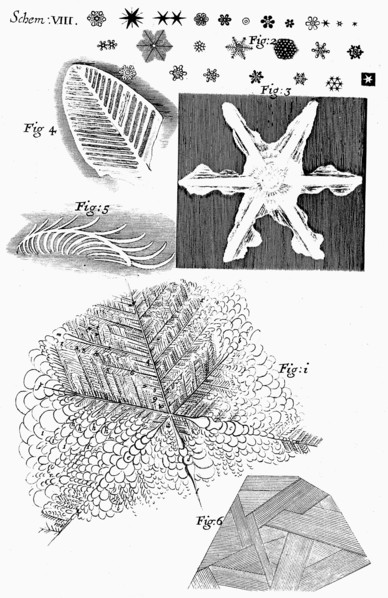 Frozen materials viewed by English microscopist Robert Hooke, 1665. Artist: Unknown