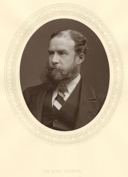 John Lubbock, first Baron Avebury, English banker, archaeologist, naturalist and politician, c1880. Artist: Unknown