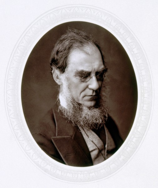 Joseph Dalton Hooker, English botanist, c1880. Artist: Lock & Whitfield