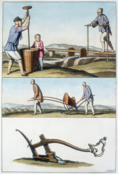 Chinese agriculture, 1825-1835. Artist: Unknown