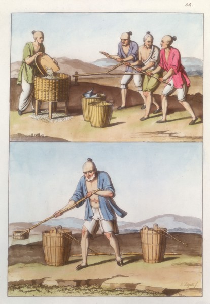 Chinese agriculture, 1825-1835 Artist: Unknown