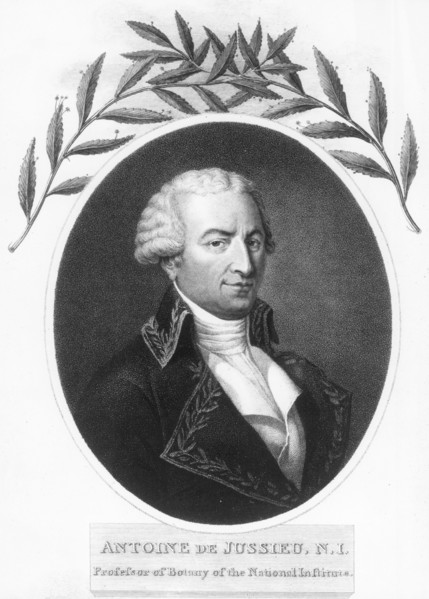 Antoine de Jussieu, 18th century French botanist, 1807. Artist: Unknown
