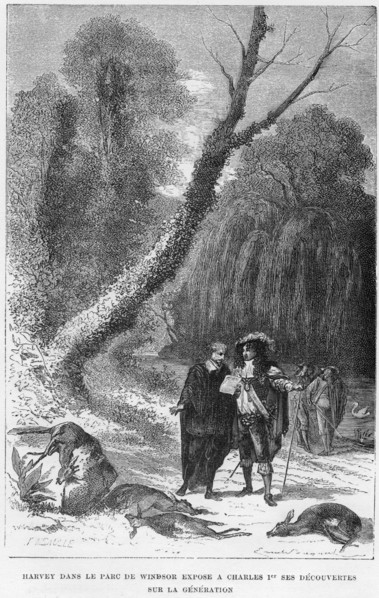 William Harvey, English physician, in Windsor Park, 17th century (1870). Artist: Unknown