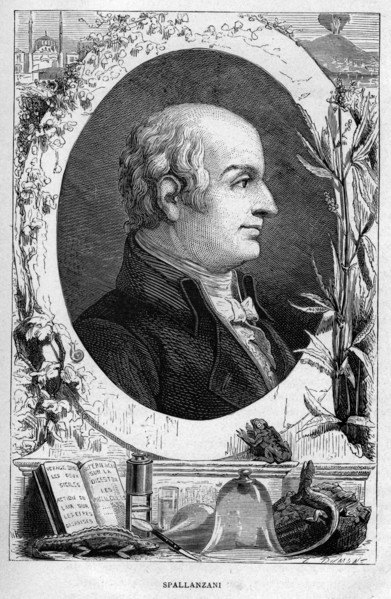Lazzaro Spallanzani, Italian biologist, 1874. Artist: Unknown