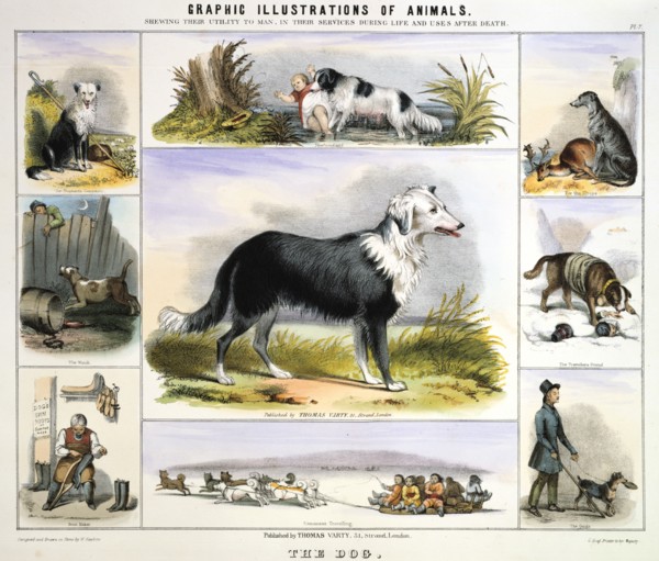 'The Dog', c1850. Artist: Benjamin Waterhouse Hawkins