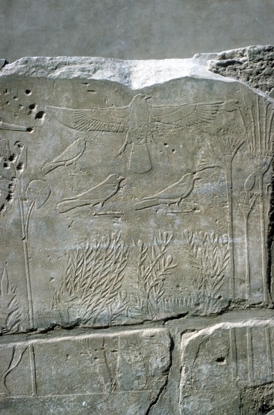 Reliefs in the Botanical Garden, Temple of Amun, Karnak, Egypt. Artist: Unknown