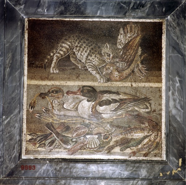 Roman mosaic of a cat with ducks, Pompeii, Italy. Creator: Unknown.
