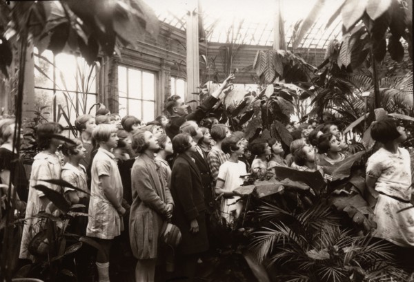 A group of girls are shown the features of a conservatory, York,  Yorkshire,  1929. Artist: Unknown