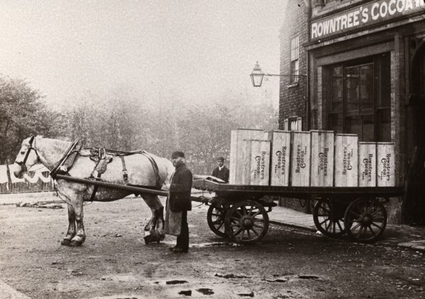 Laycock?s Rully, York, Yorkshire, 1887. Artist: Unknown