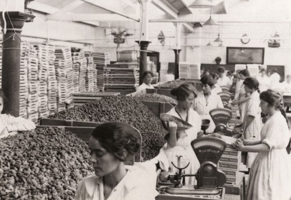 Weighing and packing Rowntree?s Fruit Pastilles, York, Yorkshire, 1923. Artist: Unknown