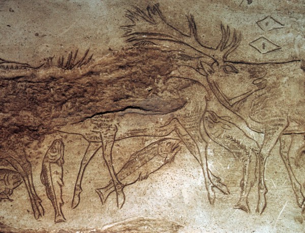 Paleolithic engraved bone with reindeer. Artist: Unknown