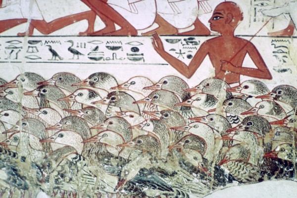Counting the geese: fragment of wall painting from the tomb of Nebamun, Thebes, Egypt, c1350 BC. Artist: Unknown
