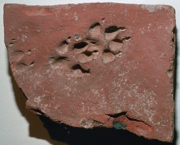 Roman tile with a dog's footprint, 3rd century. Artist: Unknown