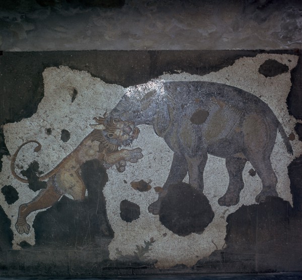 Mosaic of animal combat at the Great Palace in Istanbul, 6th century. Artist: Unknown