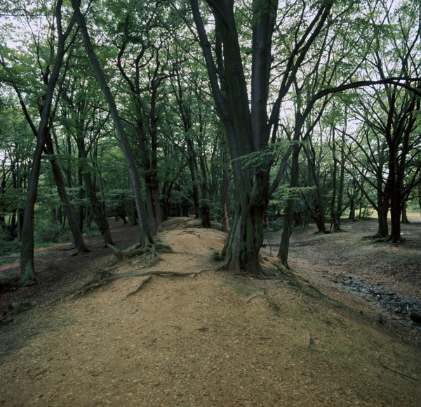 Ambersbury Banks Iron Age fort, 8th century BC. Artist: Unknown