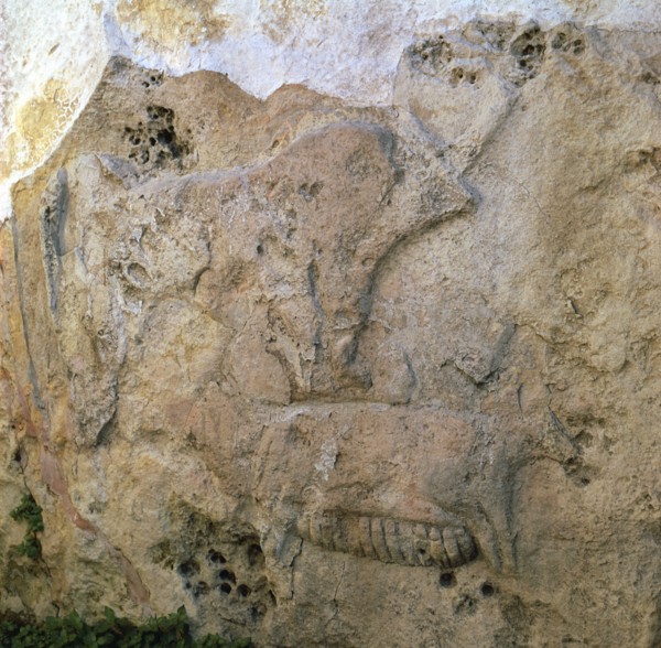 Sow-and-piglets relief from Malta. Artist: Unknown
