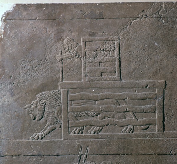 Assyrian relief of a lion being released from a cage for a hunt, 7th century. Artist: Unknown