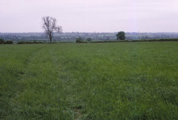 Bosworth Field. Leicestershire, England, 20th century. Artist: CM Dixon.