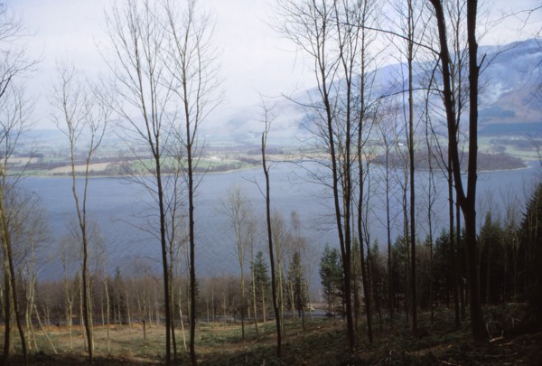 Bassenthwaite Lake from the West, Cumberland, England, 20th century. Artist: CM Dixon.