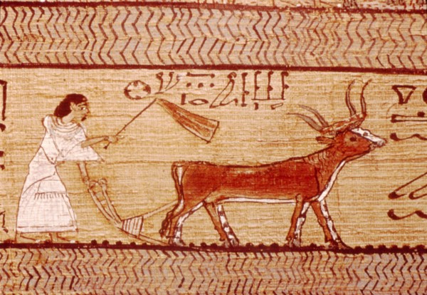 Egyptian Papyrus of Ani Ploughing, Theban Book of the Dead,  c1250 BC Artist: Unknown.