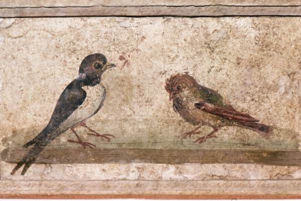 Swallow and Sparrow, Roman wall painting from Boscoreale near Pompeii, 1st century Artist: Unknown.