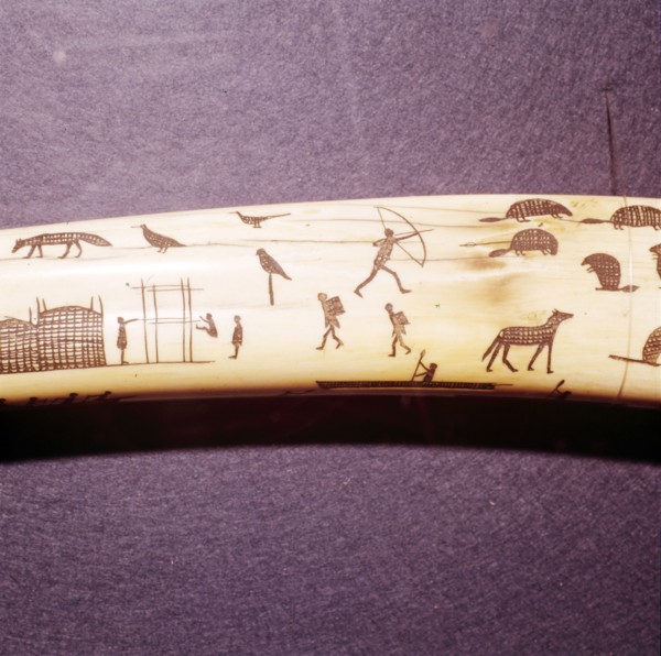Eskimo Scene Detail of engraved walrus tusk, Western Eskimo. 19th Century.  Artist: Unknown.