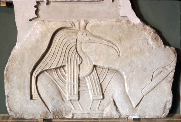 Thoth: Egyptian God: Ibis headed. Vatican. Artist: Unknown.