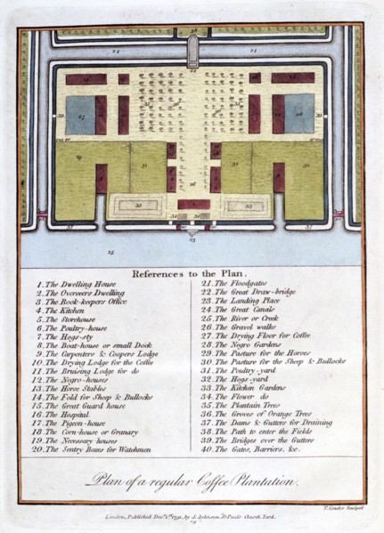 'Plan of a Regular Coffee Plantation', 1813. Artist: John Gabriel Stedman