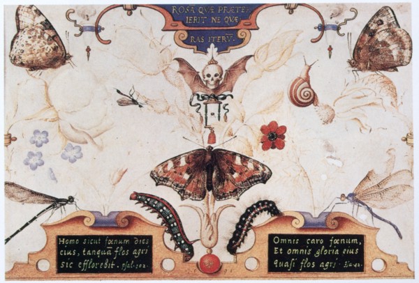 Diptych with flowers and insects, 1591.  Artist: Joris Hoefnagel