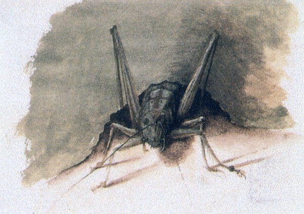 'Green Grasshopper', 16th century. Artist: Joris Hoefnagel
