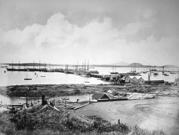 The port, Auckland, New Zealand, c1870-1880. Artist: Unknown