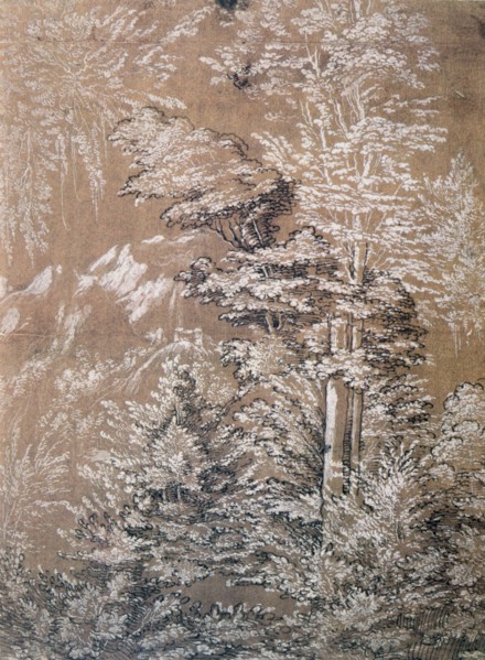 'Tree Study', 1519 Artist: Wolf Huber