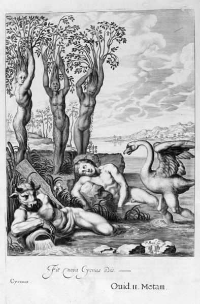 Cygnus transformed into a swan and Phaeton's sisters into poplars, 1655. Creator: Unknown.