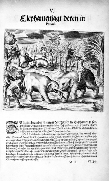 Elephants Fighting, 1606. Creator: Theodor de Bry.