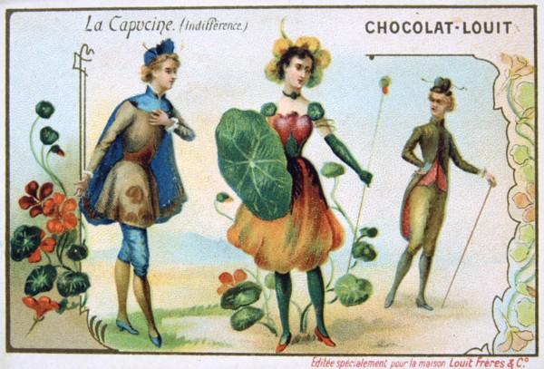 The Language of Flowers, Nasturtium, Indifference, c1900. Artist: Unknown