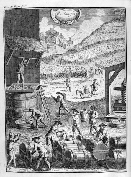 Grape harvest, 1775. Artist: Unknown