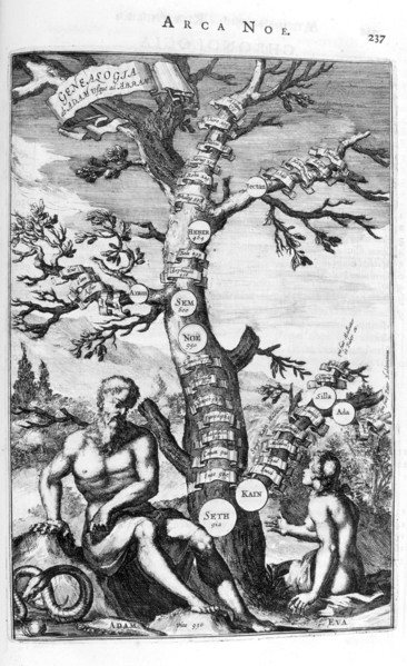 Genealogy tree of Adam, 1675.  Artist: Athanasius Kircher