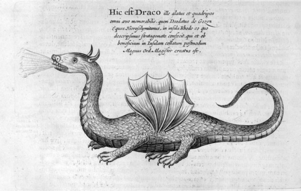 Dragon, 1678. Artist: Athanasius Kircher