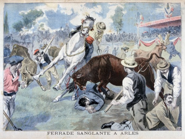 Bullfight incident, Arles, France, 1898. Creator: F Meaulle.